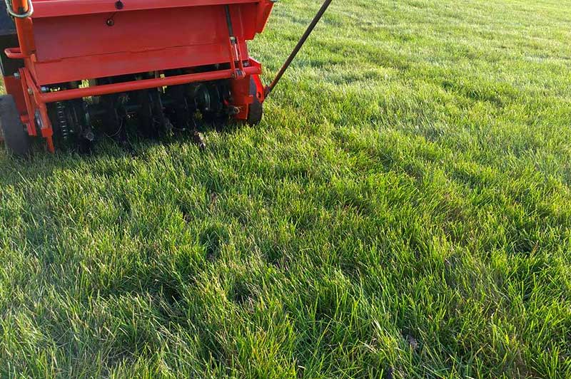Lawn and grass aeration