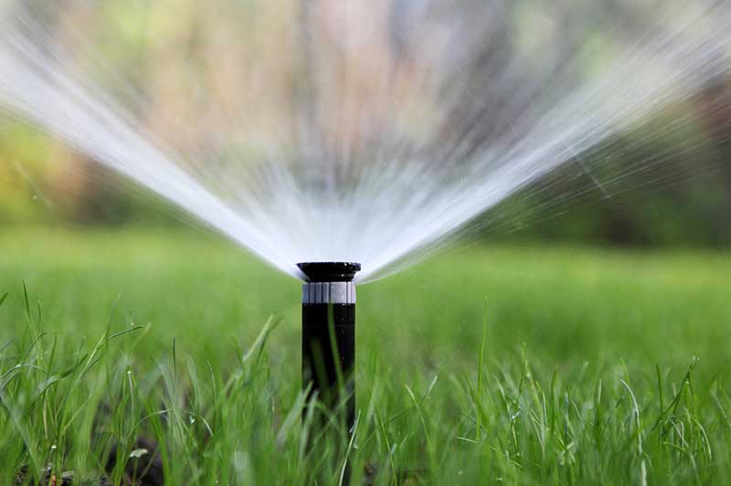 Watering lawn and grass